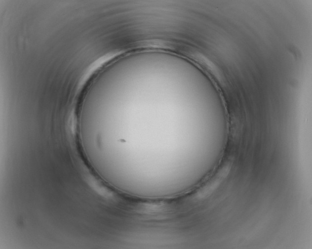 X0000114241125200910231519