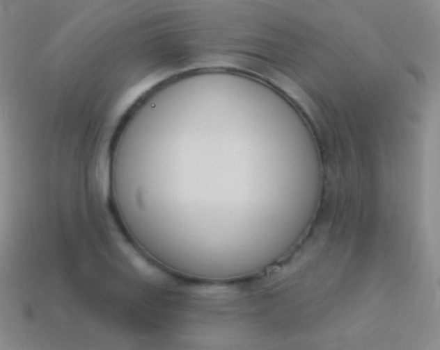 X0000114241127200910231519