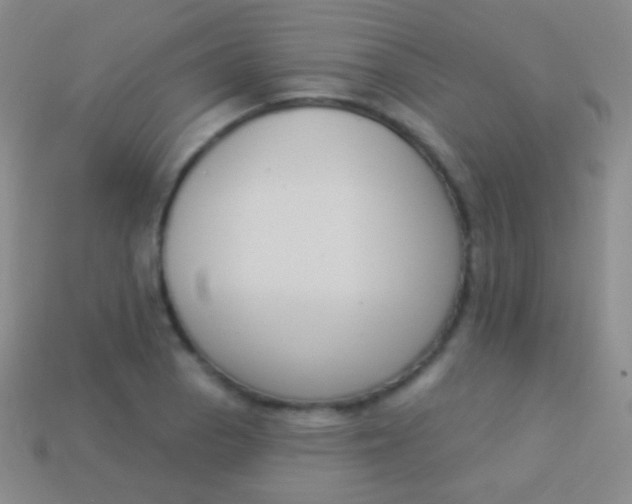 X0000114241129200910231519