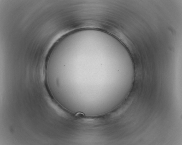 X0000114241132200910231519