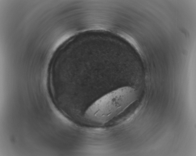 X0000114241135200910231519