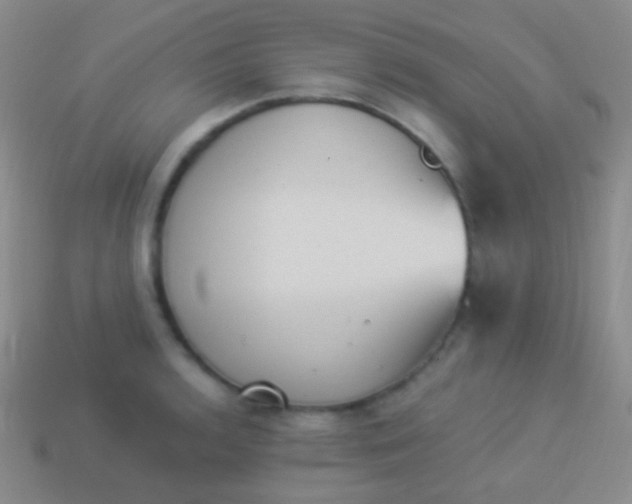 X0000114241136200910231519