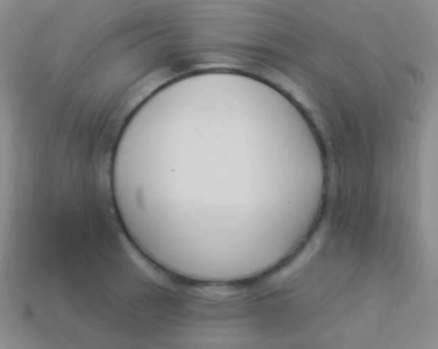 X0000114241137200910231519