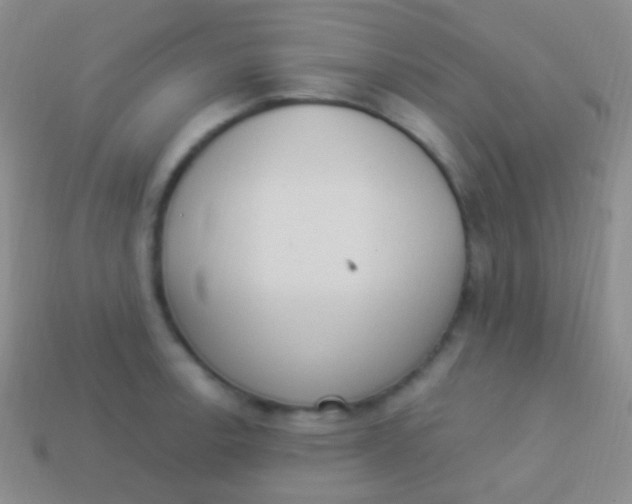 X0000114241138200910231519