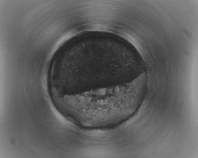 X0000114241139200910231519