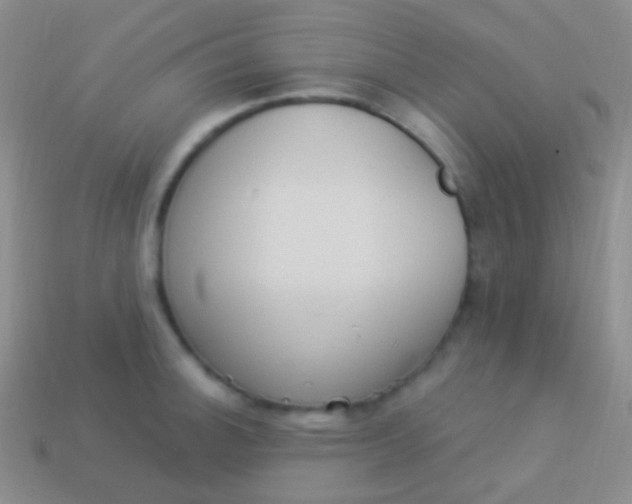 X0000114241140200910231519