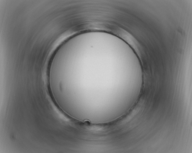 X0000114241141200910231519