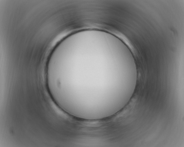 X0000114241143200910231519