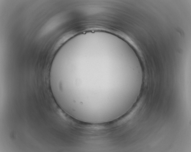 X0000114241145200910231519
