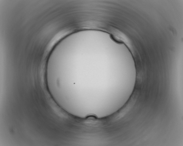X0000114241146200910231519