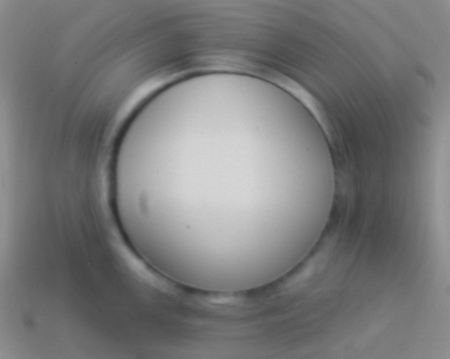 X0000114241147200910231519