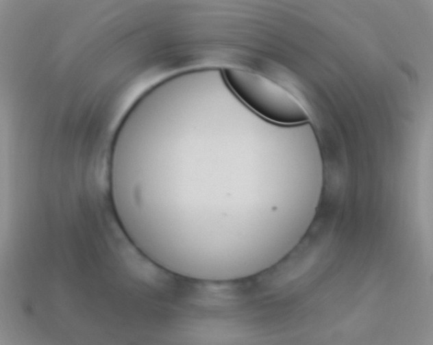 X0000114241148200910231519