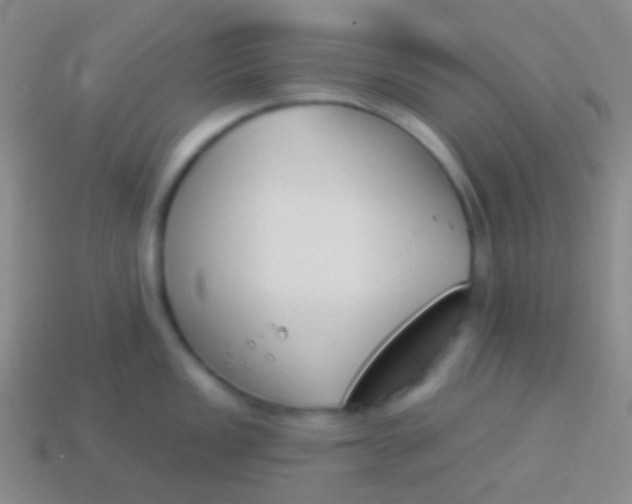 X0000114241149200910231519