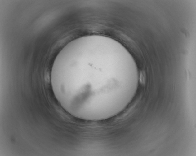X0000114241155200910231518