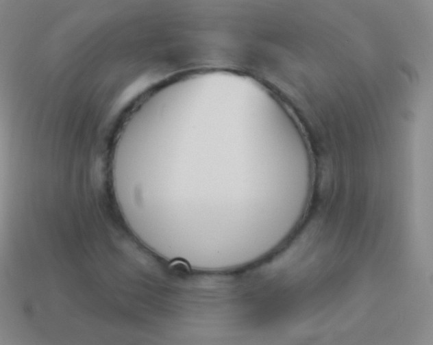 X0000114241163200910231518