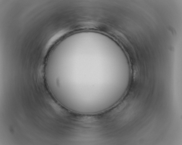 X0000114241164200910231518