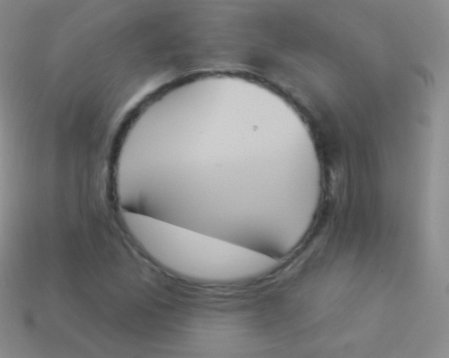 X0000114241165200910231518