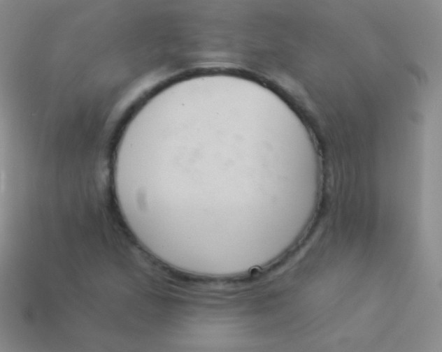 X0000114241167200910231518