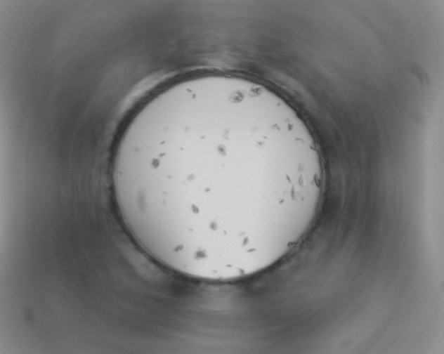 X0000114241168200910231518
