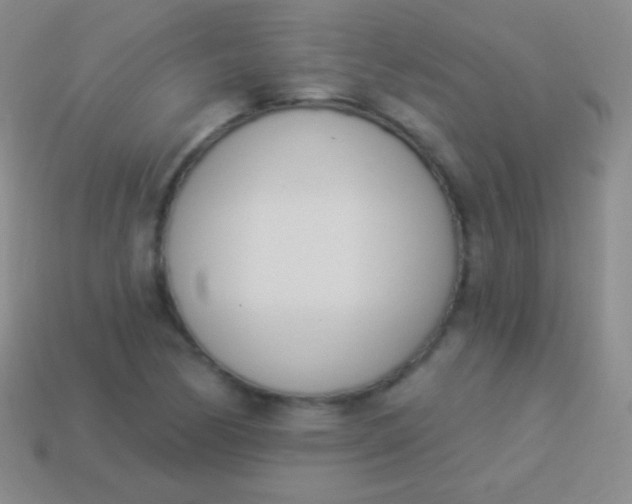X0000114241170200910231518