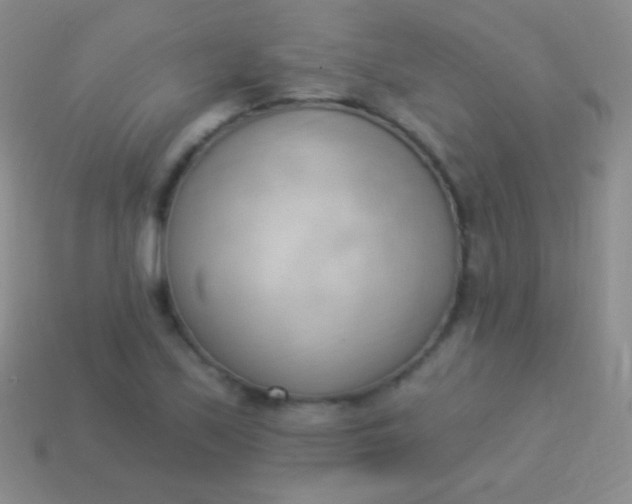 X0000114241171200910231518