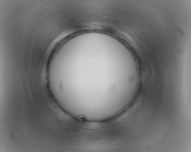 X0000114241172200910231518