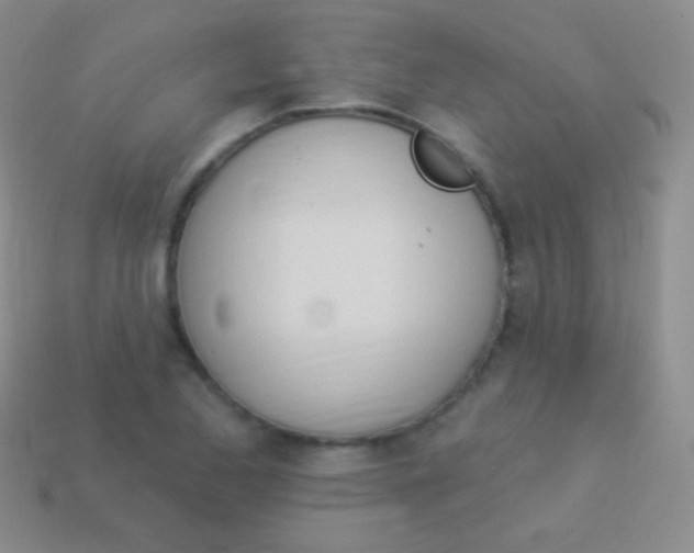 X0000114241173200910231518