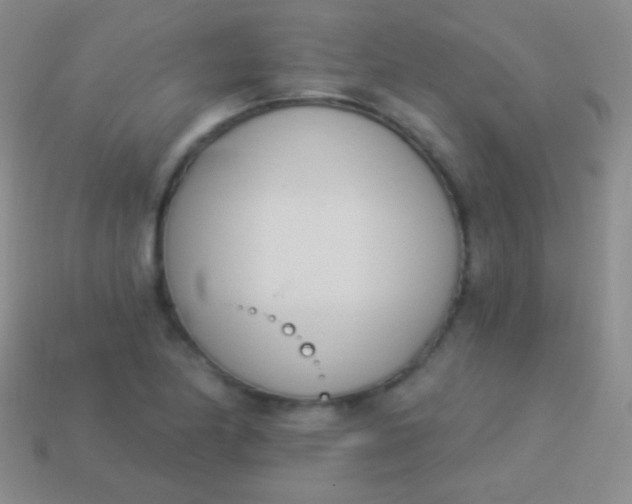 X0000114241174200910231518