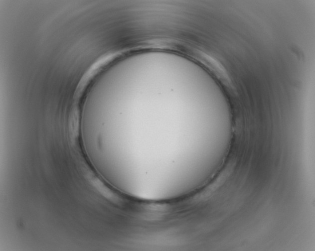 X0000114241180200910231518