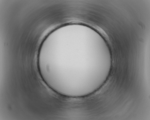 X0000114241183200910231518