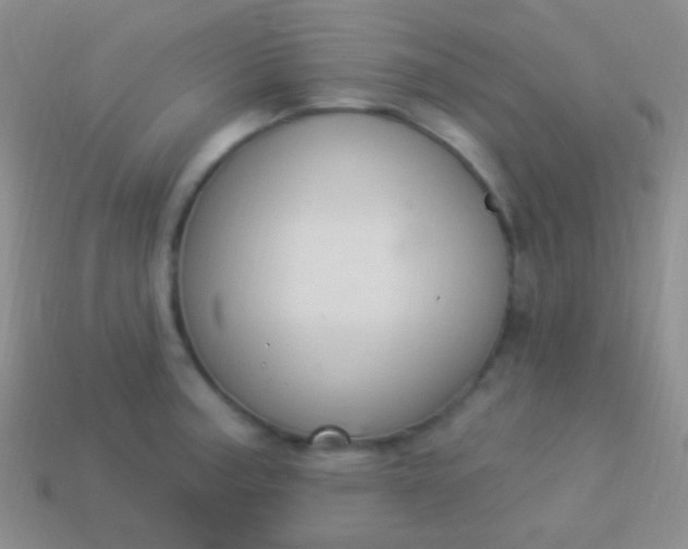 X0000114241187200910231518