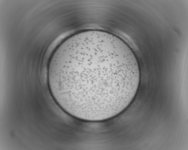 X0000114241188200910231518
