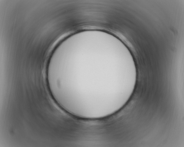 X0000114241189200910231518