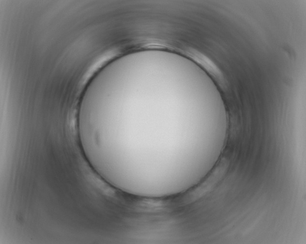 X0000114241190200910231518