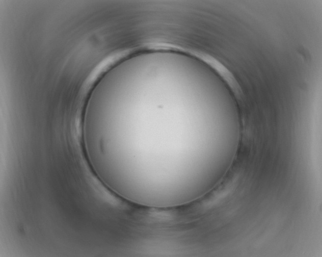 X0000114241191200910231518