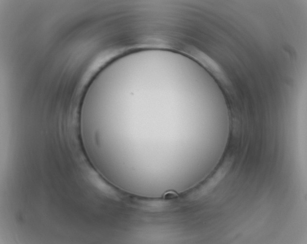 X0000114241192200910231518