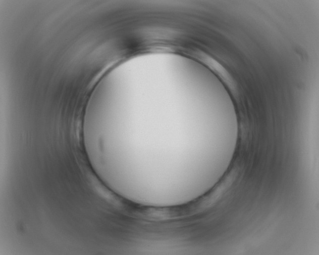 X0000114241194200910231518