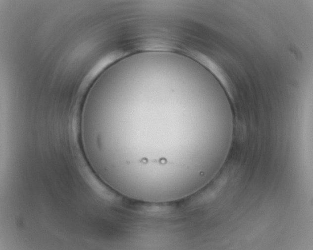 X0000114241195200910231518