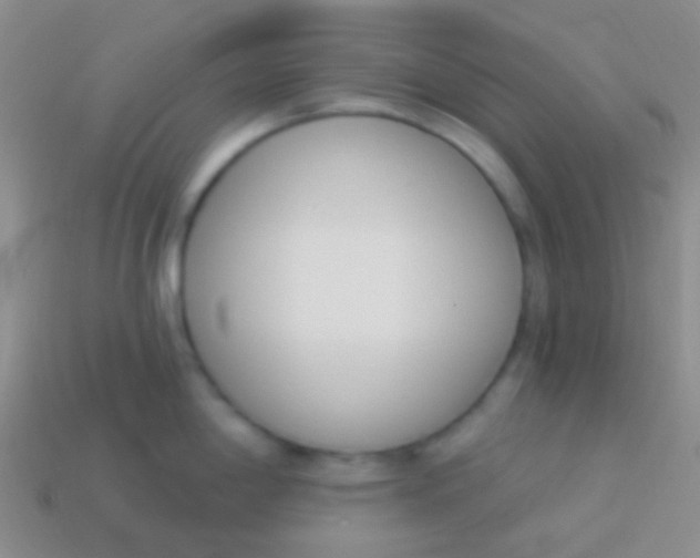 X0000114241198200910231518