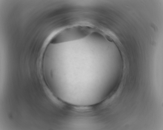 X0000114241200200910231517