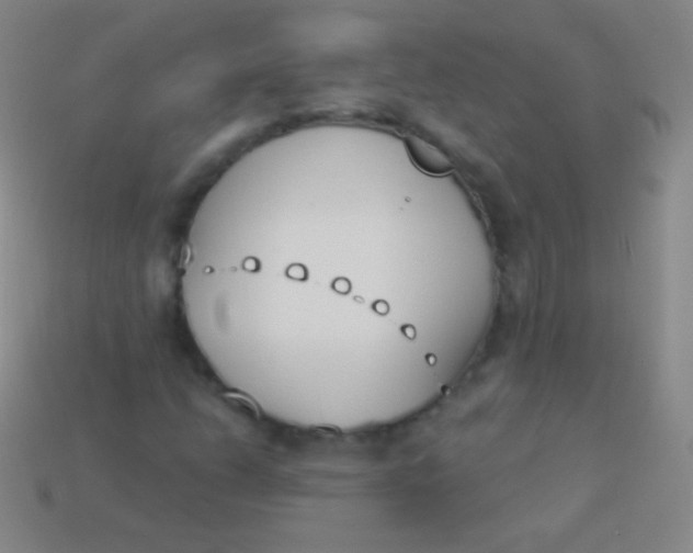 X0000114241206200910231517