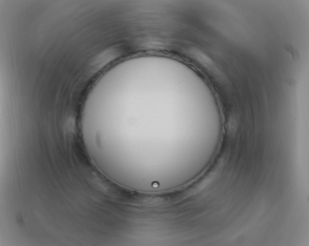 X0000114241209200910231517