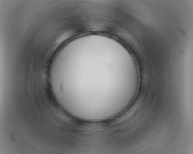 X0000114241210200910231517