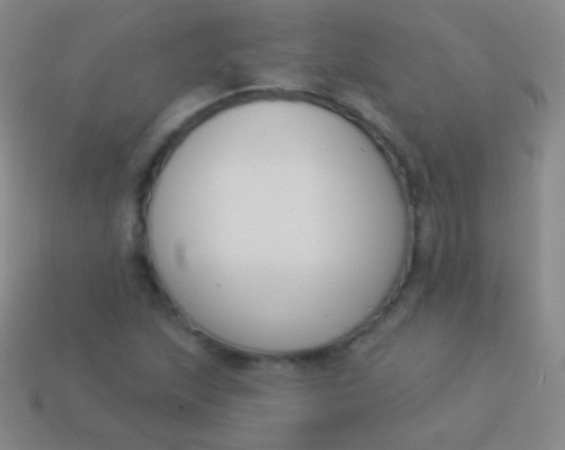 X0000114241215200910231517