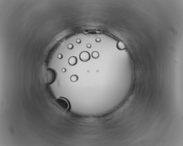 X0000114241219200910231517