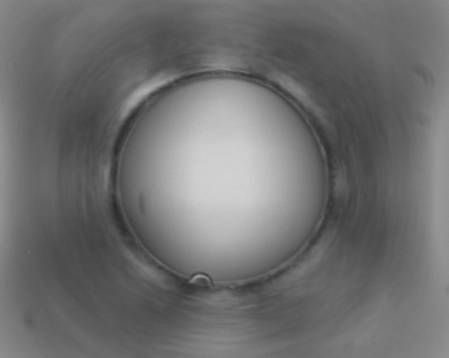 X0000114241222200910231517