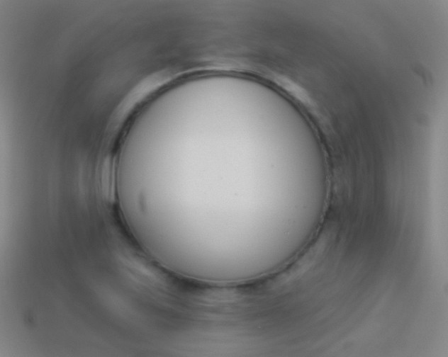 X0000114241223200910231517