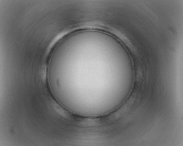 X0000114241224200910231517