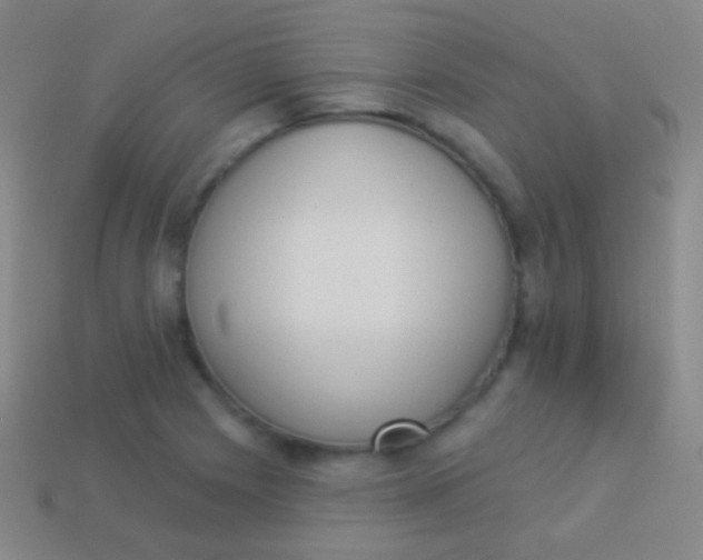 X0000114241225200910231517