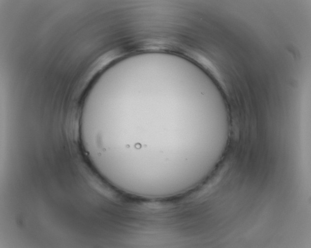 X0000114241227200910231517